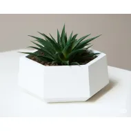 Concrete Arranger Silicone Mold AR1