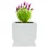 Flower Pot Silicone Mold BS1