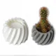 Succulent Flower Pot Silicone Mold SC6